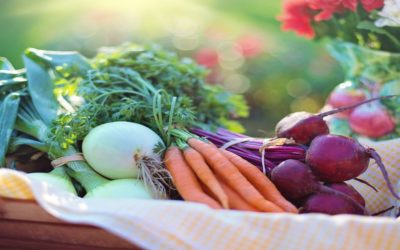 Ways to Create a More Sustainable Kitchen